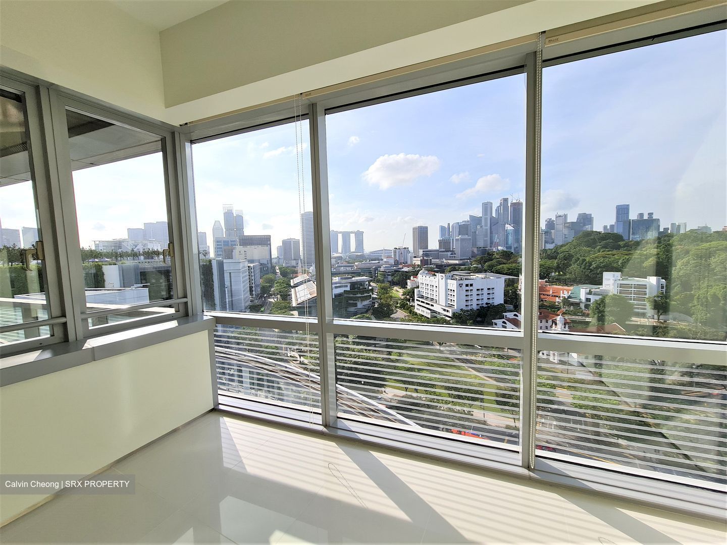 The Cathay Residence (D9), Apartment #416044291